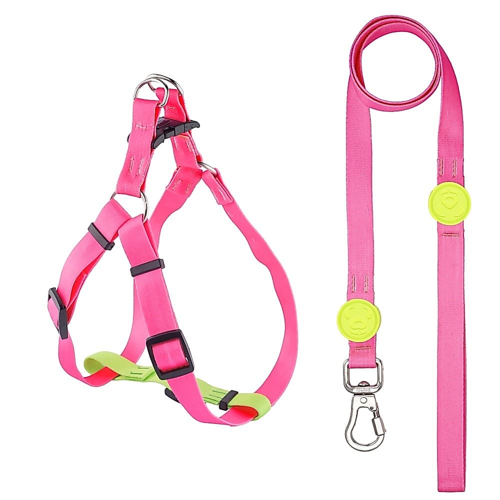 Conjunto Guia Peitoral Americano Para Cachorro Luminous