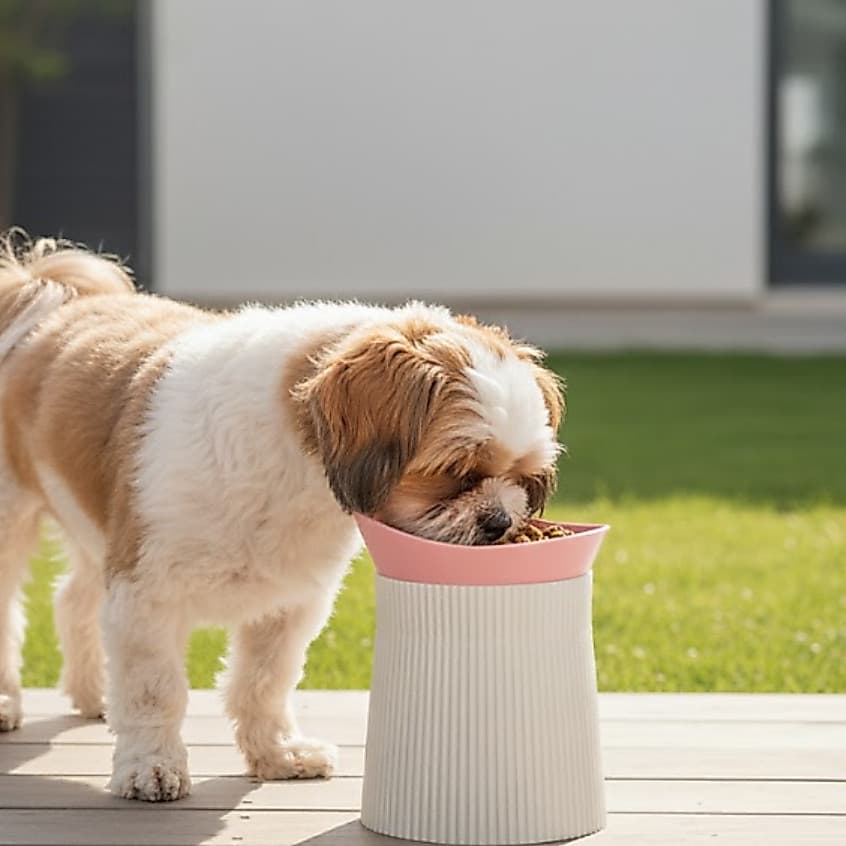 Comedouro Pet Elevado para Cachorro Tigela Pet para Ração ou Água Alimentação