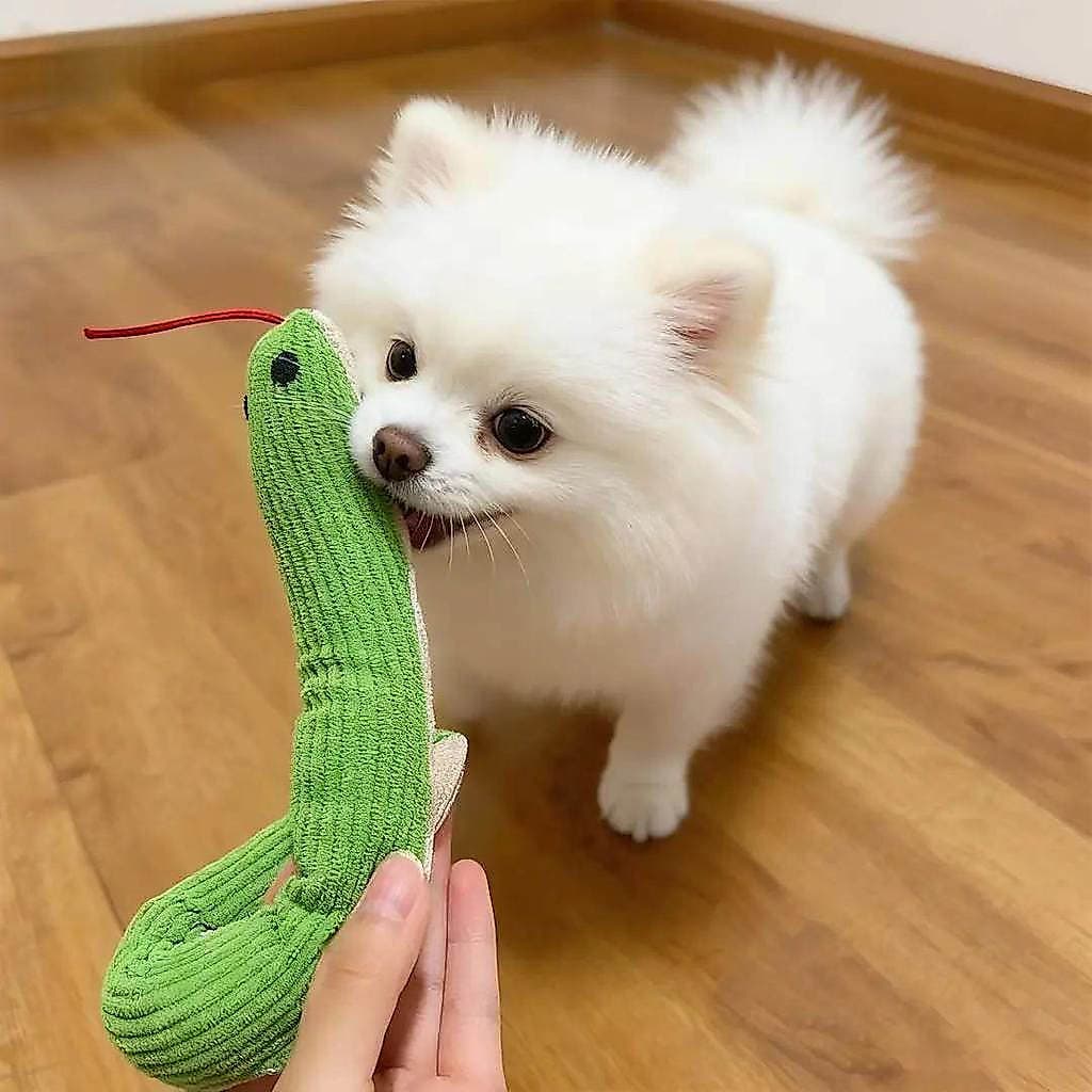 Brinquedo do cão voz agitando cabeça cobra Molar dentes limpeza auto-feliz tédio aliviar ferramenta útil provocando gato
