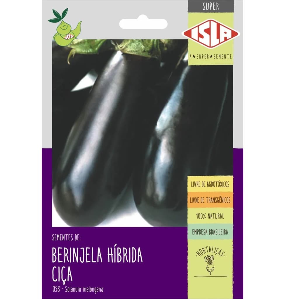 5 sementes berinjela hibrida ciça