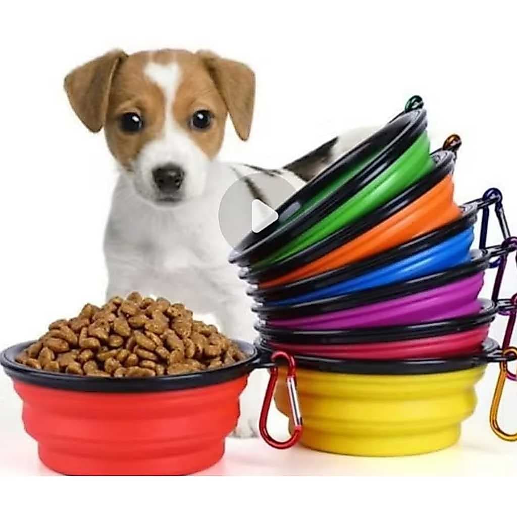 Pote Comedouro Bebedouro Retrátil 2 em 1 Pet Silicone Gato e Cachorro