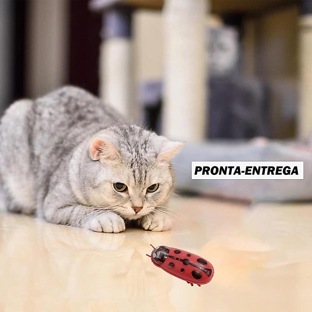 JOANINHA Besouro brinquedo interativo Gato Pet Cachorro Racao Caes Brincar Sozinho Animais estimação