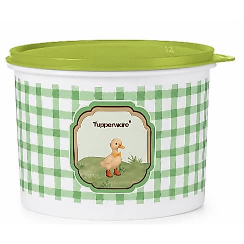 Tupperware Tupper Caixa Patinho da Roça 2,4 litros