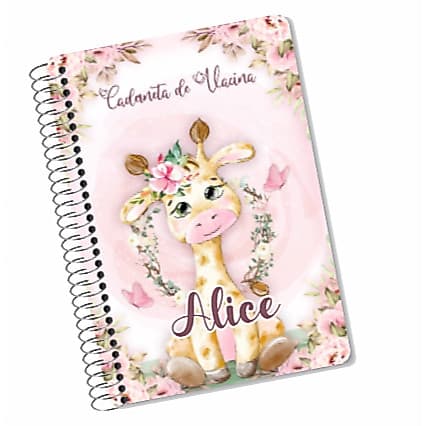 Caderneta De Vacina  Saúde Da Criança Sétima 7 edição SUS Personalizada Menina com Nome e Tema