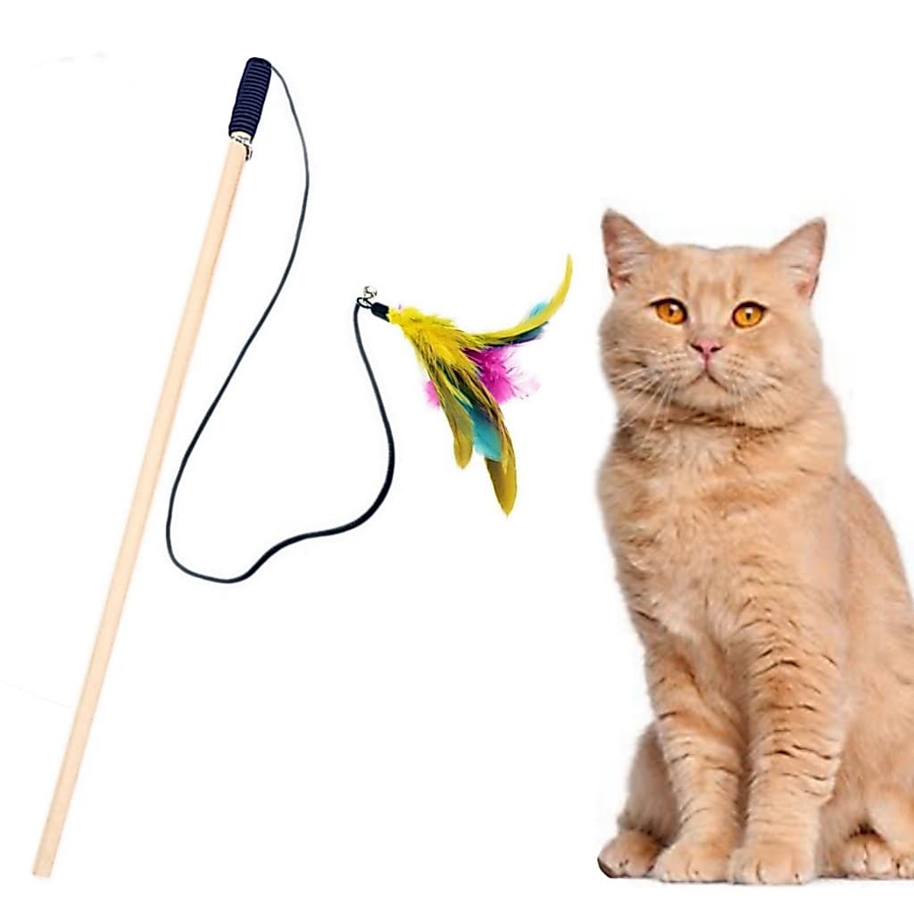 Varinha Cat fishing Brinquedo vareta para gatos - Bastão gato
