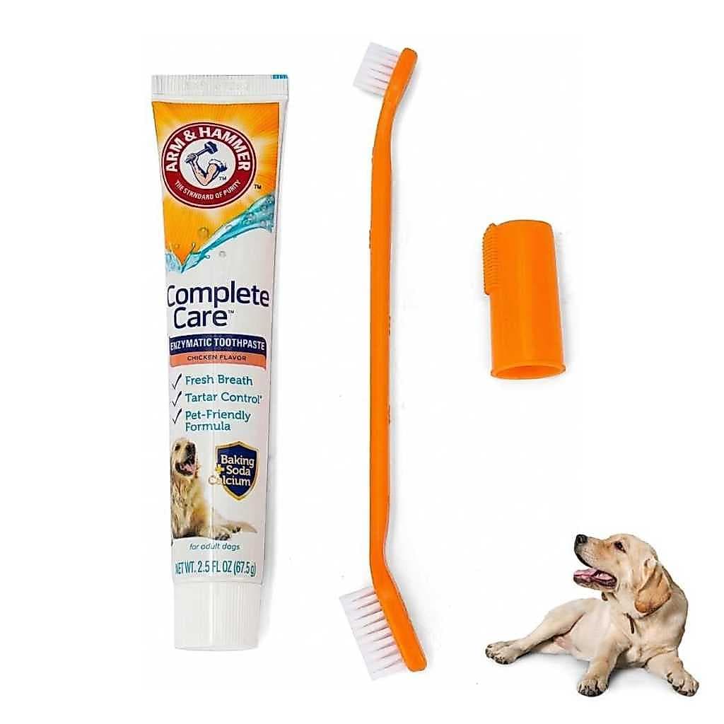 Kit Creme Dental para Cachorro Arm & Hammer Sabor Frango Escova de Dente Dedeira Para Limpeza