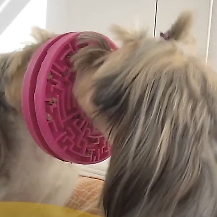Comedouro Lento Brinquedo Labirinto para Cachorros Pet Games Verde Pink Laranja