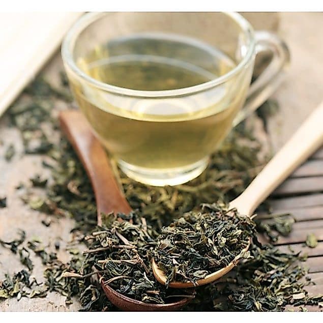 CHÁ VERDE CAMELLIA SINENSIS IMPORTADO