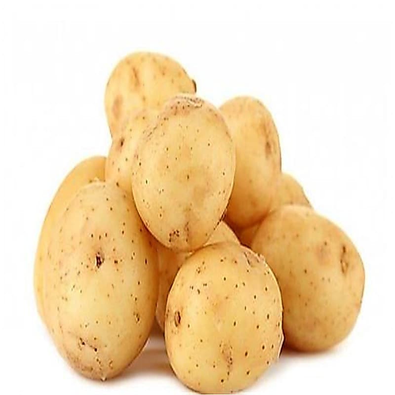 200-500 Sementes de Batata Amarela para Plantio | Horta em Casa e Jardim | Alta Germinação | Fácil Cultivo