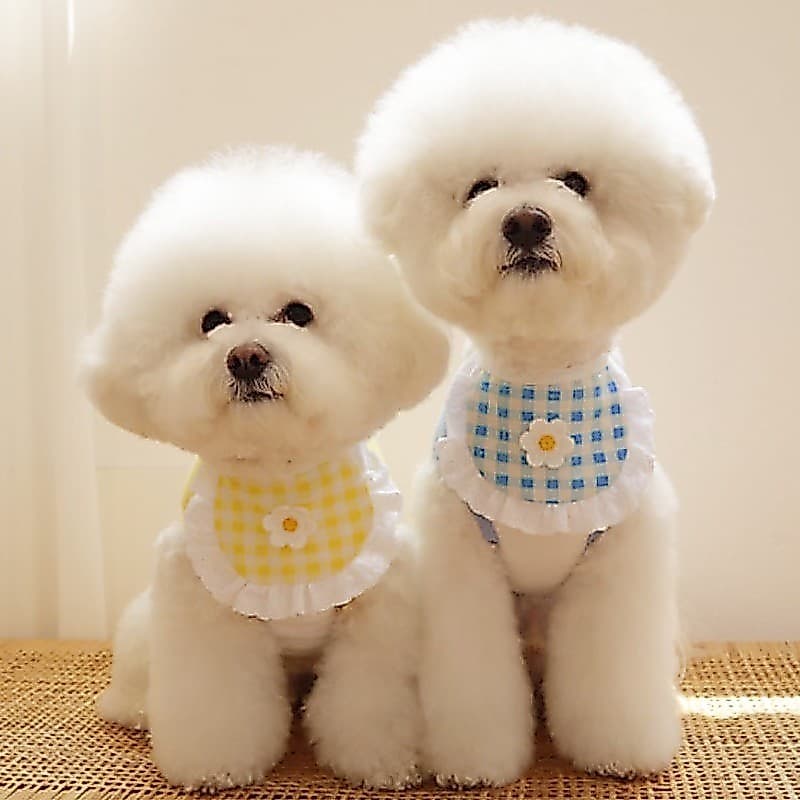 Babador de cachorro xadrez flor ins bonito renda Saliva toalha gato babador decoração para animais de estimação Xiaohong