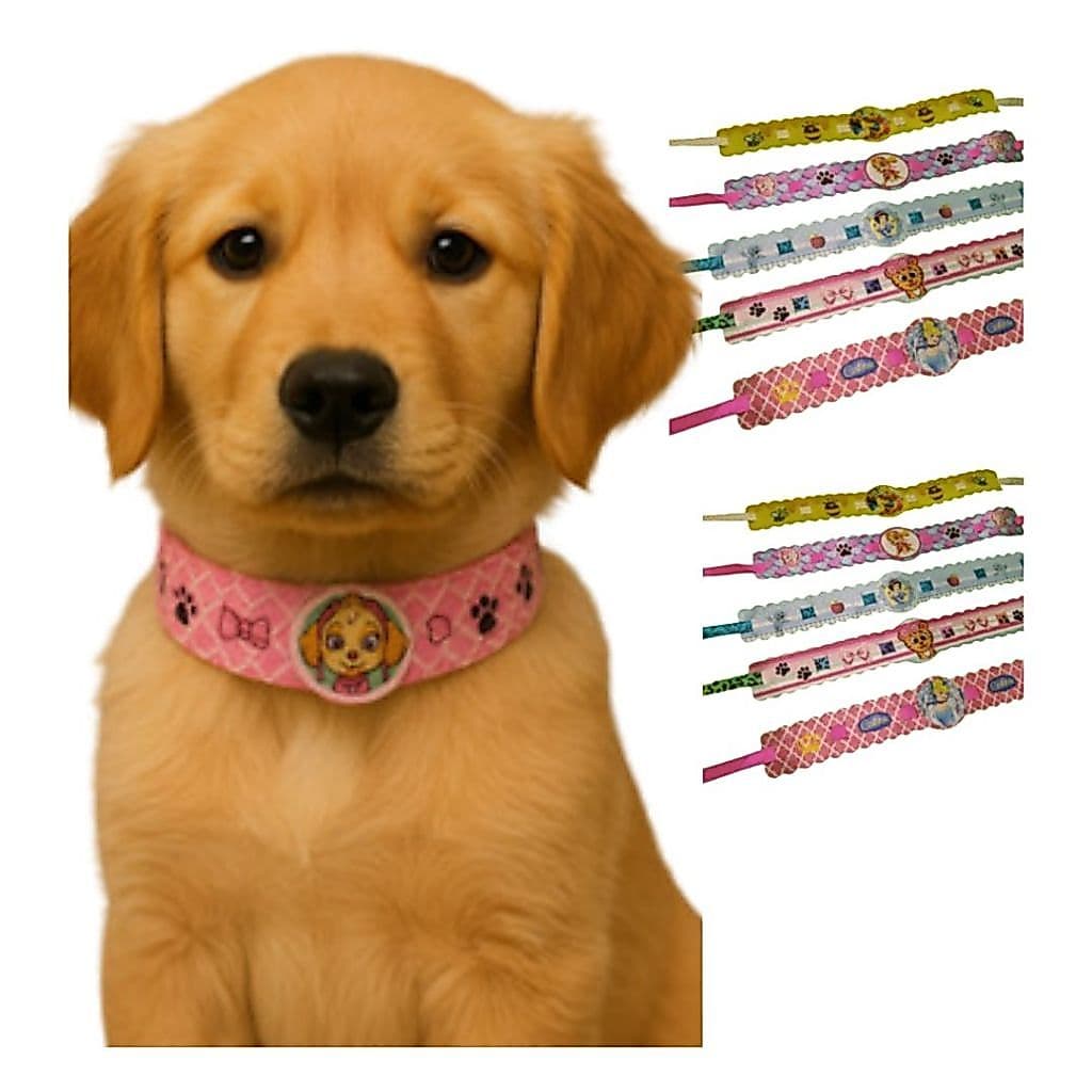 Kit Gargantilha Colar Pet Shop Coleira Caes Gatos Cachorro Macho Femea