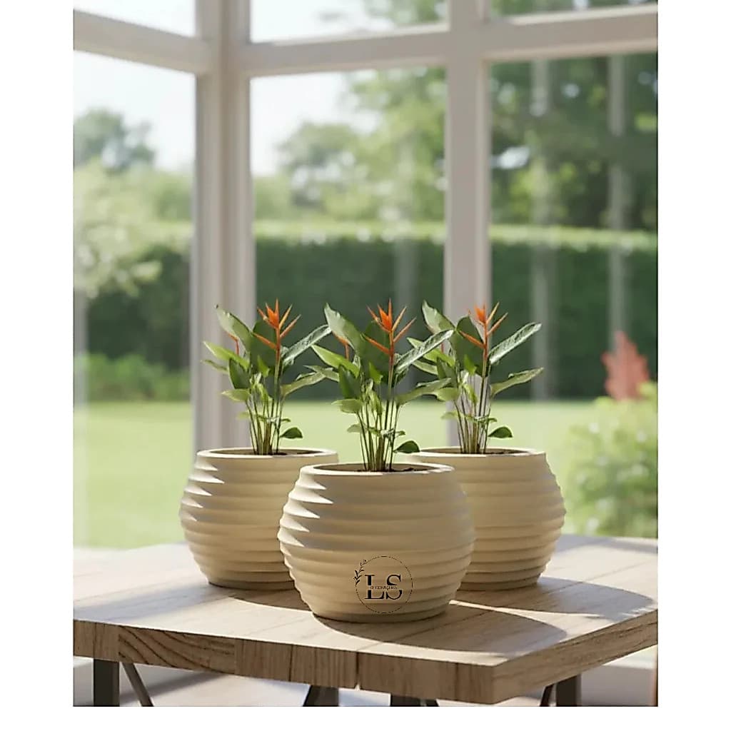 Kit 3 Vasos Decorativo Esfera Ondulada N°1 Planta Flor Orquidea Anturio Lirio Suculentas Polietileno