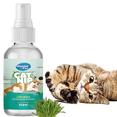 Catnip Erva Do Gato 100% Spray Natural Deixa o Gato Feliz Tira o Estresse