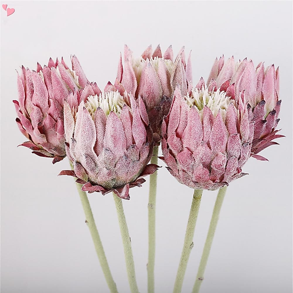 Flores Artificiais De Protea King – Arranjos Florais Tropicais Realistas Para Peça Central De Casamento E Decoração De C
