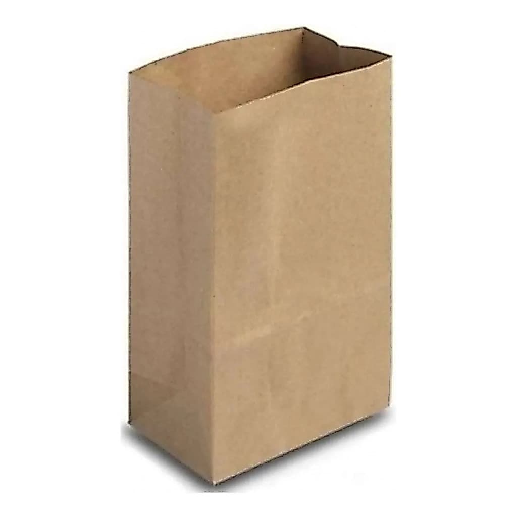Saco Delivery Pp3 18x10x36 Liso Pct Com 100un