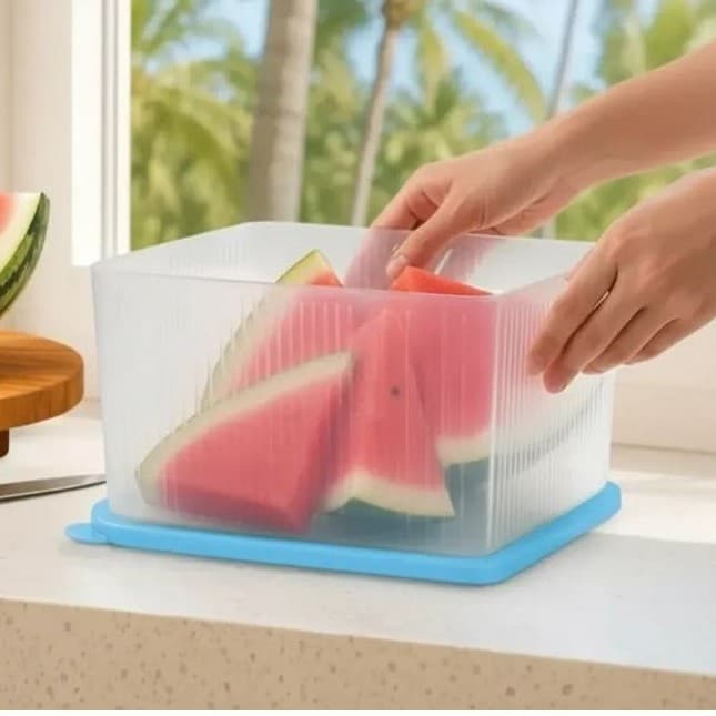 Tupperware Fresh Box 2,5L