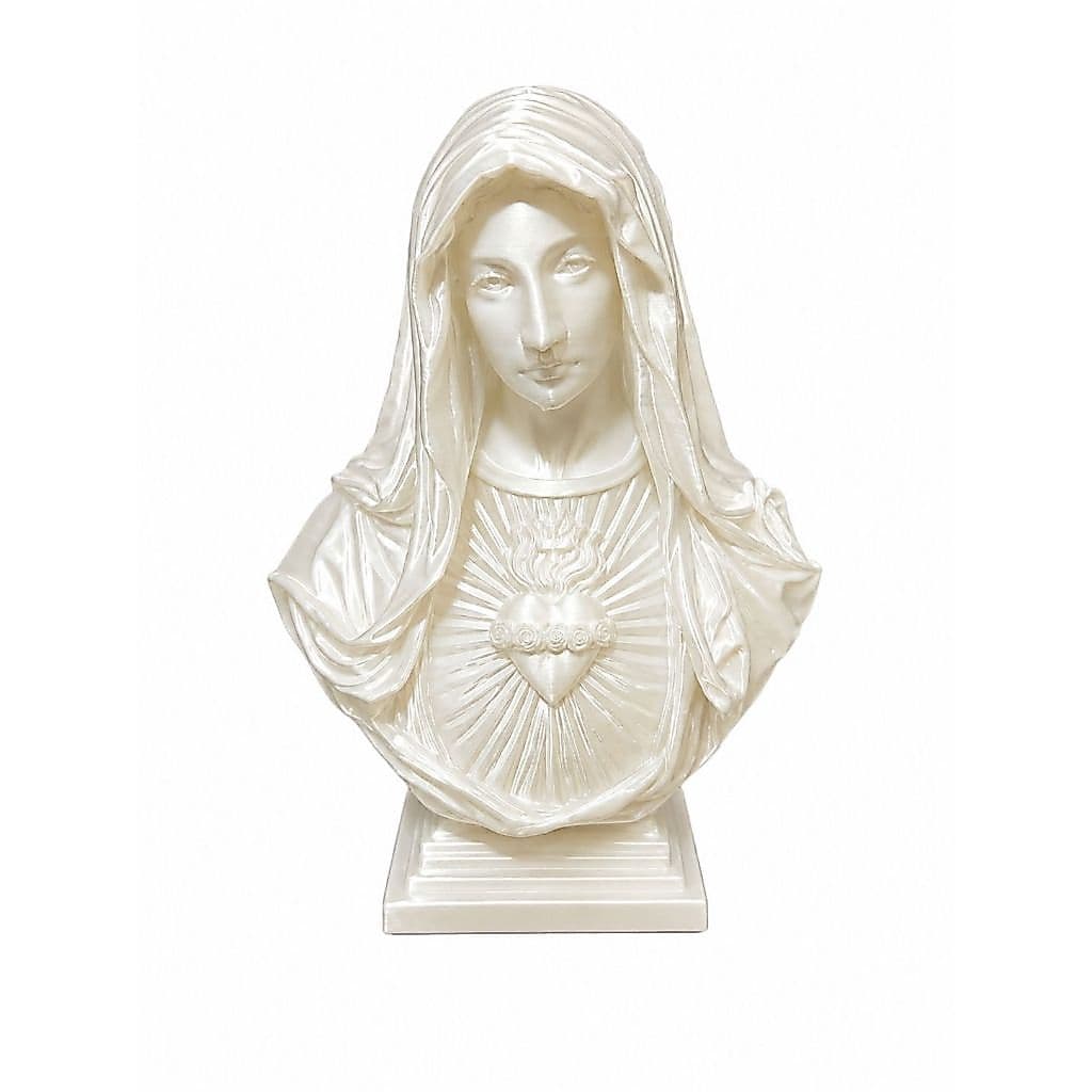magem Sagrado Coração de Maria Nossa Senhora Decorativa Fé e Devoção Presente Religioso