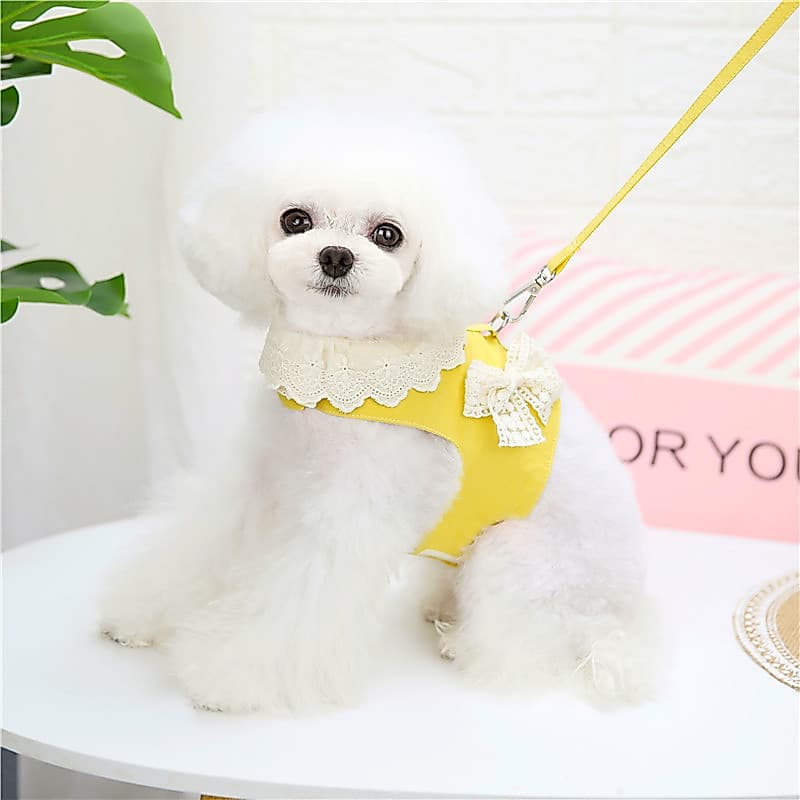 Coleira peitoral para cachorro, coleira de pelúcia Bichon, coleira para passeio de cachorro pequeno, tipo colete para an