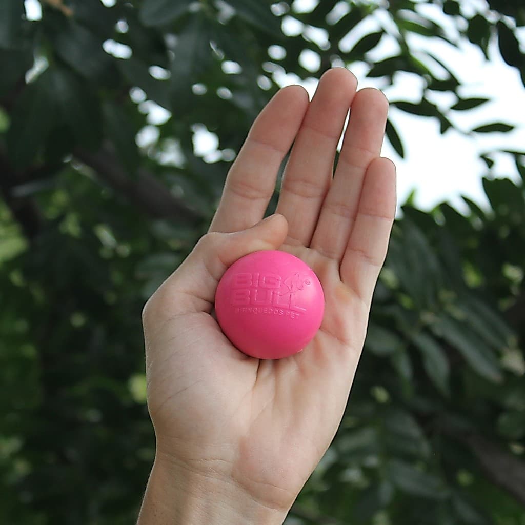 Brinquedo Cachorro Bolinha Pet Interativa Bola Maciça PulaPula Resistente Porte Pequeno Big Bull Pet