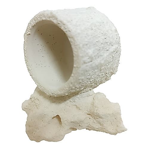 Marco Rock Vaso Para Anêmonas/corais -unico Material Inerte