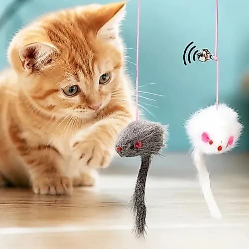 Brinquedo Gato Suspenso de pendurar na porta ratinho