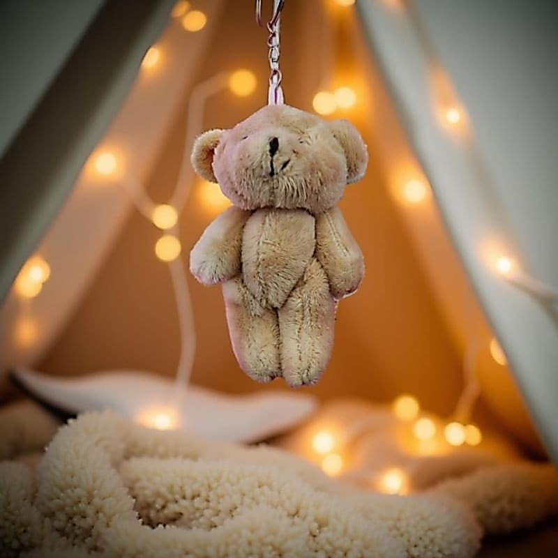 Chaveiro de Urso de Pelúcia 10cm