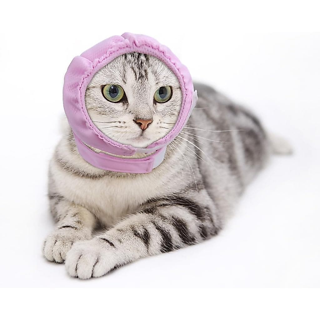 Capuz Protetor de Orelhas para Gatos, Alívio da Ansiedade, Capuz Calmante para Cães para Tosa e Secagem, Protetores de O