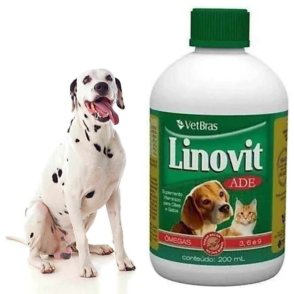 Vitamina De Cachorro Não Cair Pelo Engordar Fica Bonito