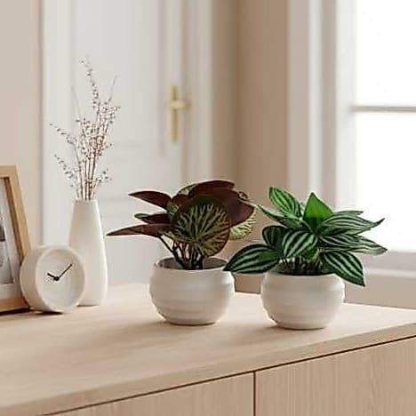 Kit 2 Vasinhos Decorativos com Folhagem Artificial – Mini Plantas Verdes em Vaso Branco 9,5cm