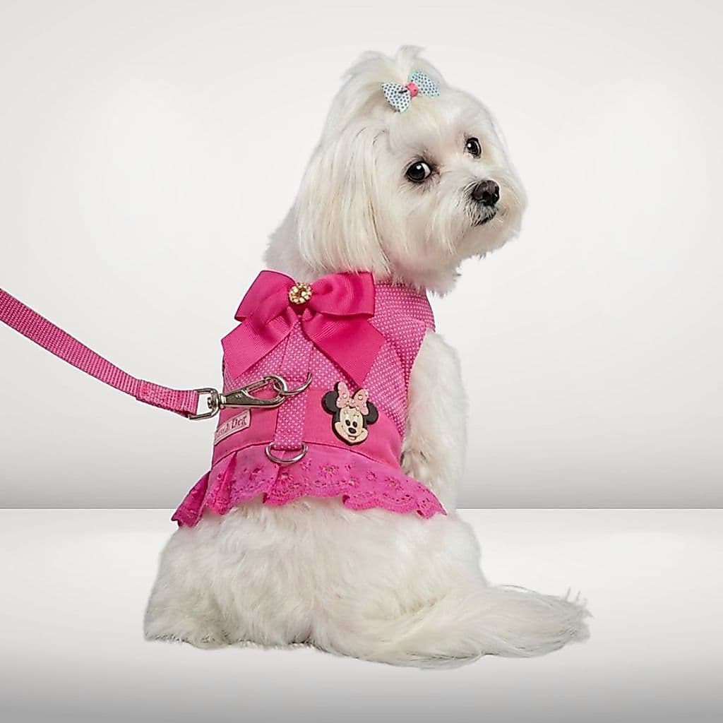 Vestido Peitoral+Guia Cachorro Snob Dog Minie Rosa Fêmea