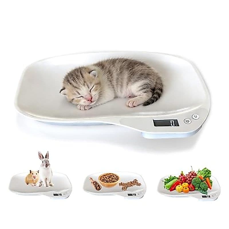 Balança Digital Para Pequenos Animais , De Estimação De 14 x 10 Com Display LCD Filhotes (Máx . De 33 Libras) Eletrônica