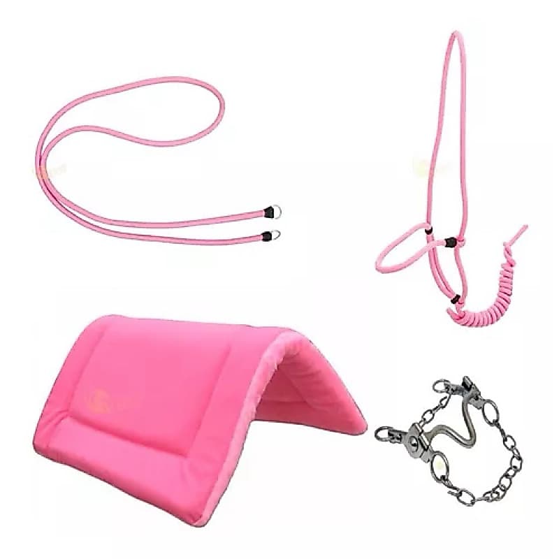 Cabresto Rosa+Manta+Freio Água Choca Leve+Rédea