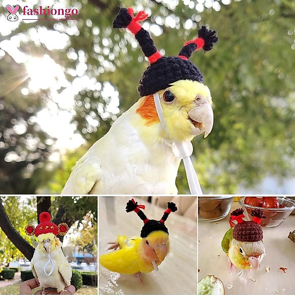 FASHIONGO Pet Hamster Periquito Calopsita Peônia Papagaio Pássaro Chapéu Lã Crochê Malha Pequenos Animais Mini Pássaros