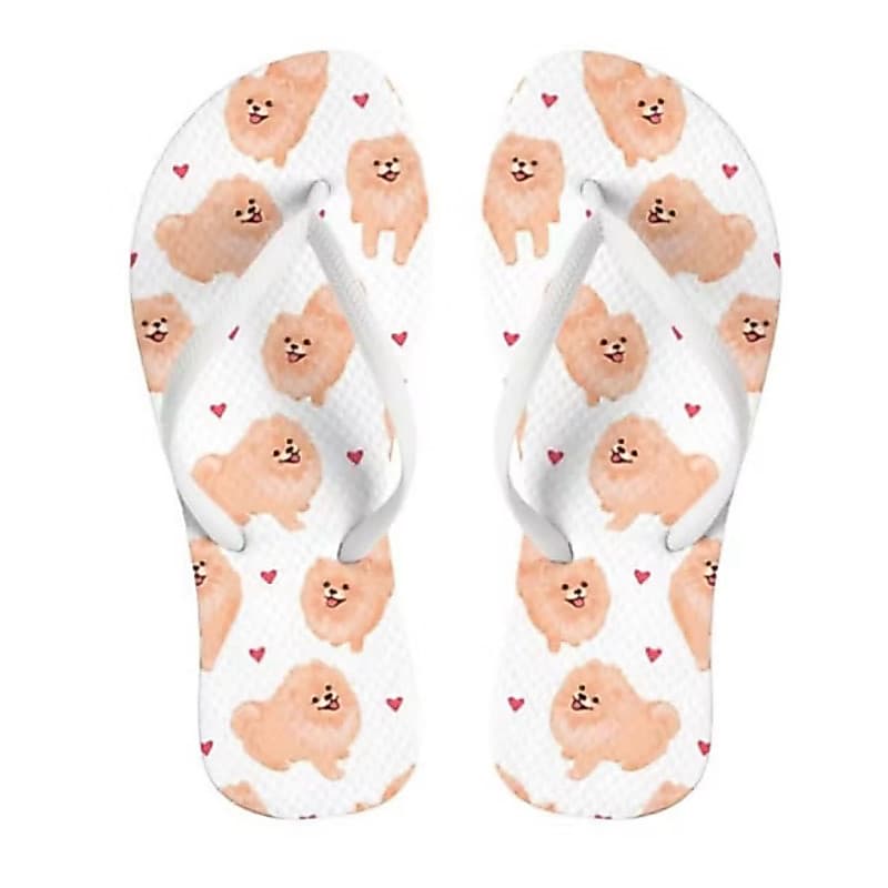 Chinelo Lulu da Pomerania Spitz alemão Mãe de Pet