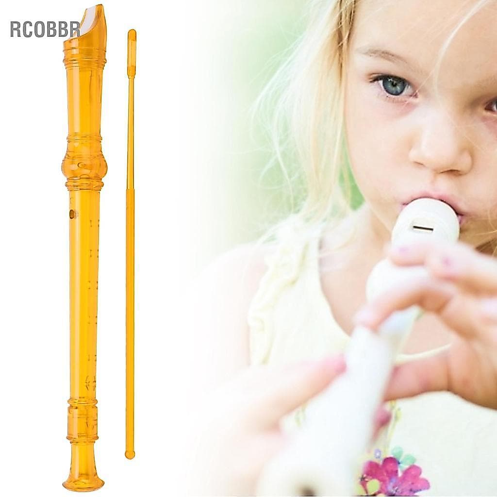 Rcobbr Instrumento de vento agudo transparente abs, clarinete de 8 buracos com haste de limpeza portátil para