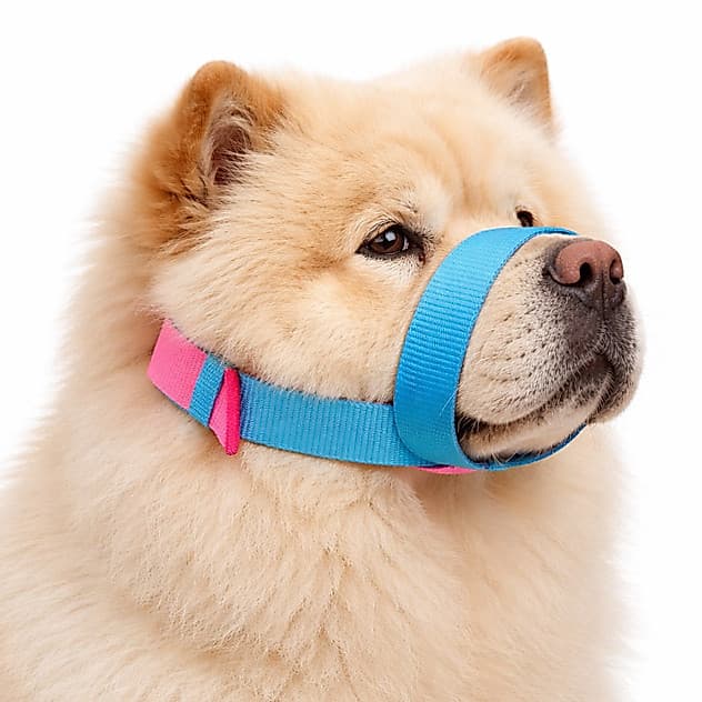 Focinheira Confortável Respirável Para Cachorro
