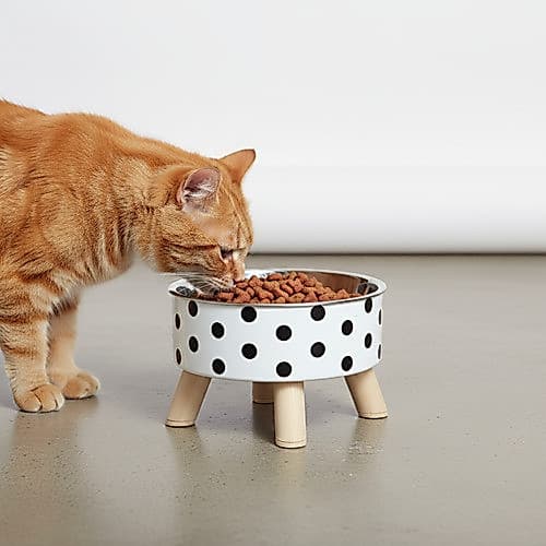 Comedouro Elevado Fluffie 0,35l Para Cães E Gatos Branco