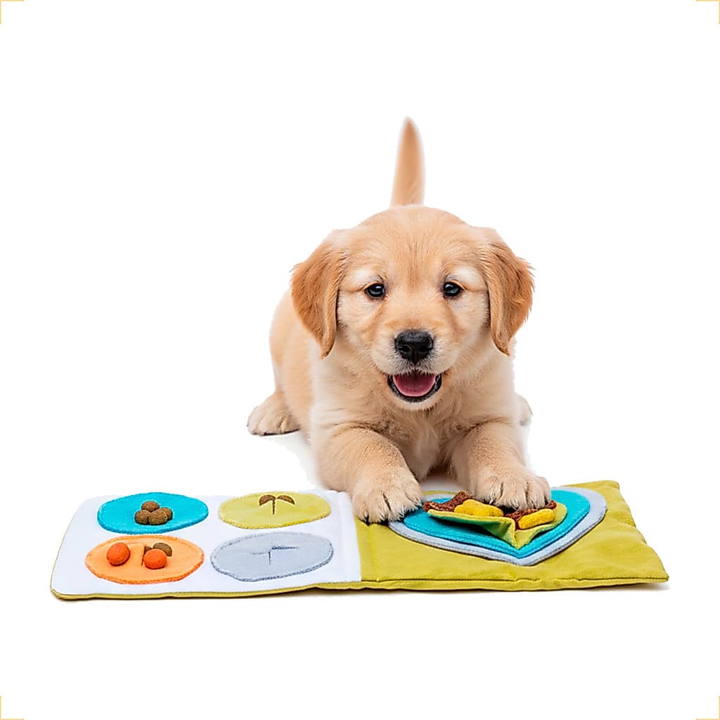 Brinquedo Interativo Para Cachorro Filhote Tabuleiro Petisco Educativo Anti Tédio