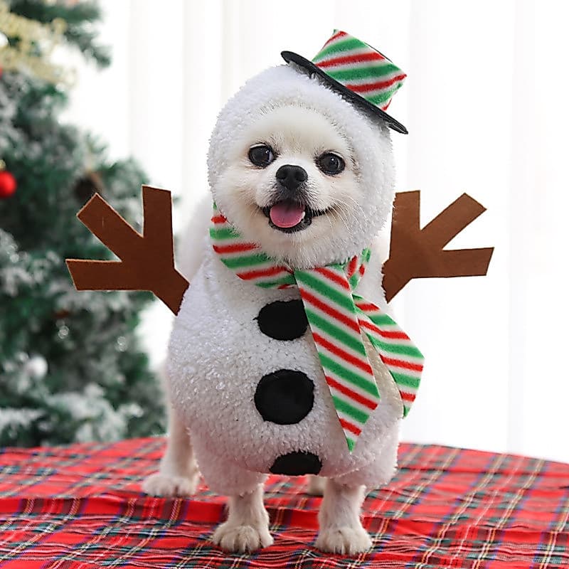 Roupas de outono e inverno, fantasias engraçadas de Natal para cães e gatos, roupa de transformação de boneco de neve, r