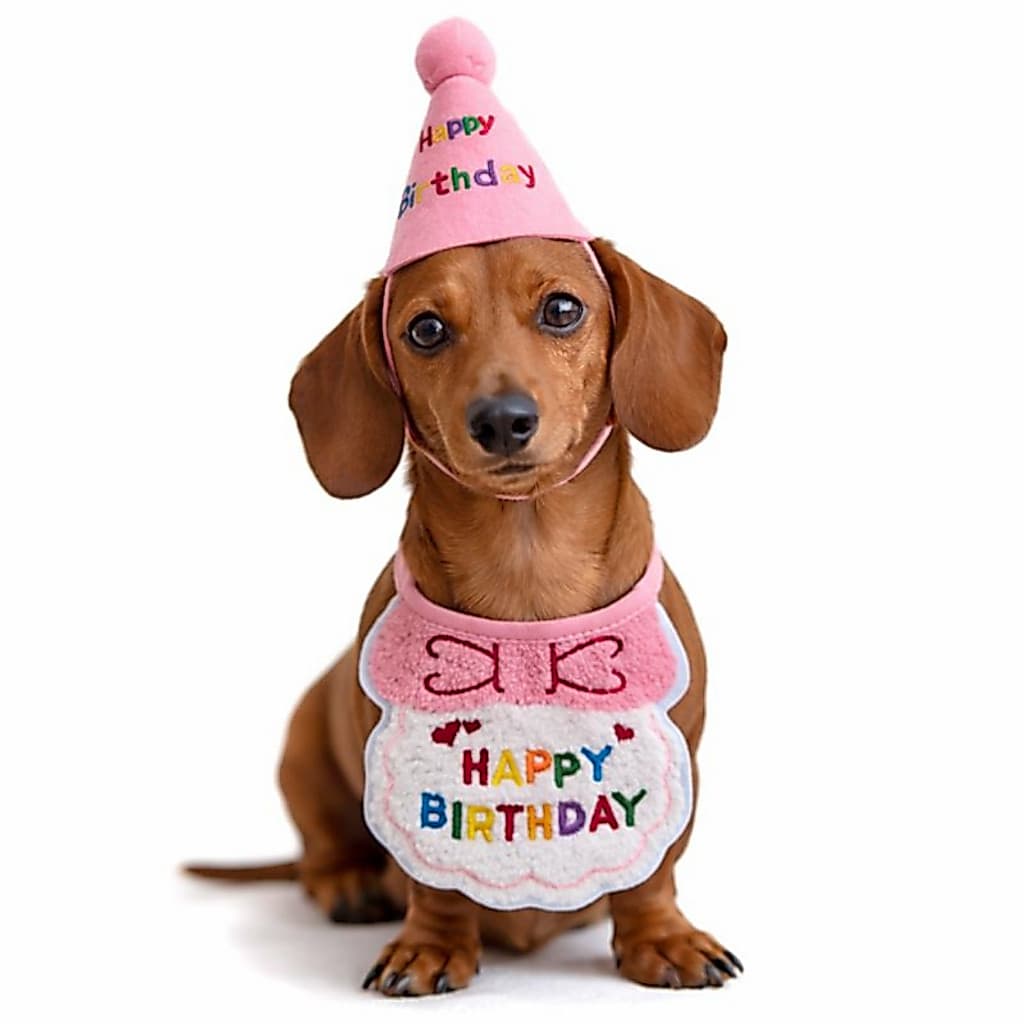 Kit Aniversário Pet Cachorro Rosa – Babador Atoalhado + Chapéu Festa