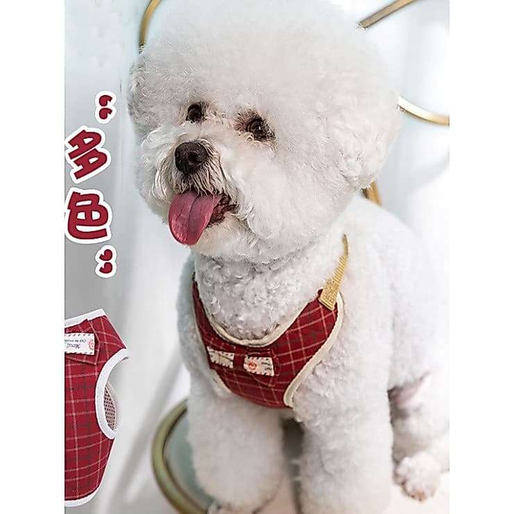 Cão peito bolso pequeno cão trela Teddy Bichon gato colete estilo confortável respirável peito volta trela conjunto