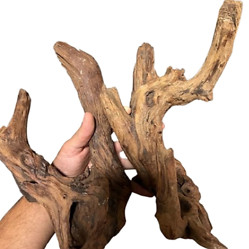 Tronco Natural Tratado Decoração Aquário grande