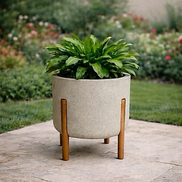 Vaso para Planta com  pé  Mônaco P, M Cilíndrico designer  moderno
