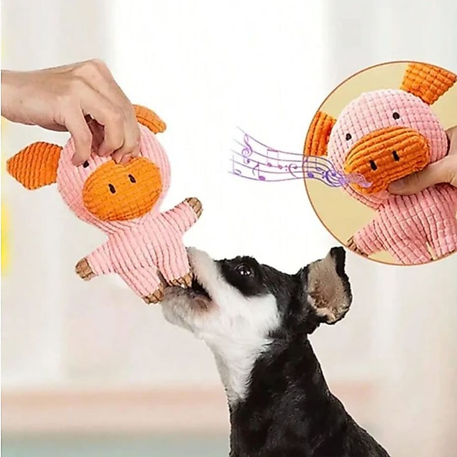Pelúcia para Cachorro Brinquedo Porquinho para Pets Macio Anti Stress