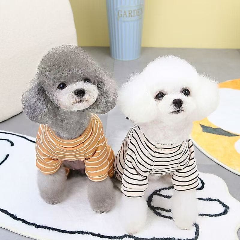 Pijama Pet Roupa Inverno Cães Gato Roupinha Frio cachorro Pijaminha casaco moletom Luxo Macio