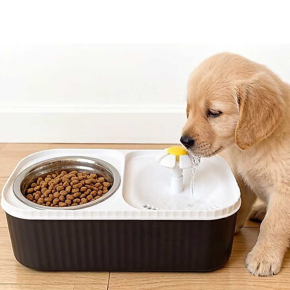 Bebedouro e Comedouro Automático 2 em 1 para Cães e Gatos Automático Inox Duplo Cão Gato 3 Litros