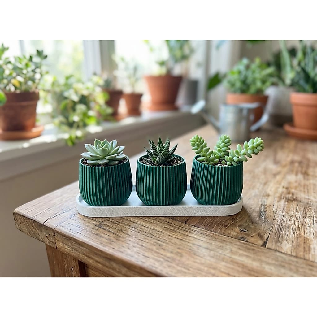 Kit com 3 Vasos para Flores e Suculentas + Bandeja Organizadora
