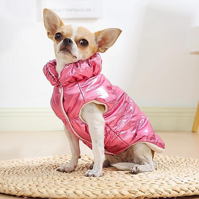 Jaqueta Para Cães De Estimação , Casaco Pequenos E Médios , Gatos , Inverno , Quente , Lã , Roupas Macias Traje De Buldo
