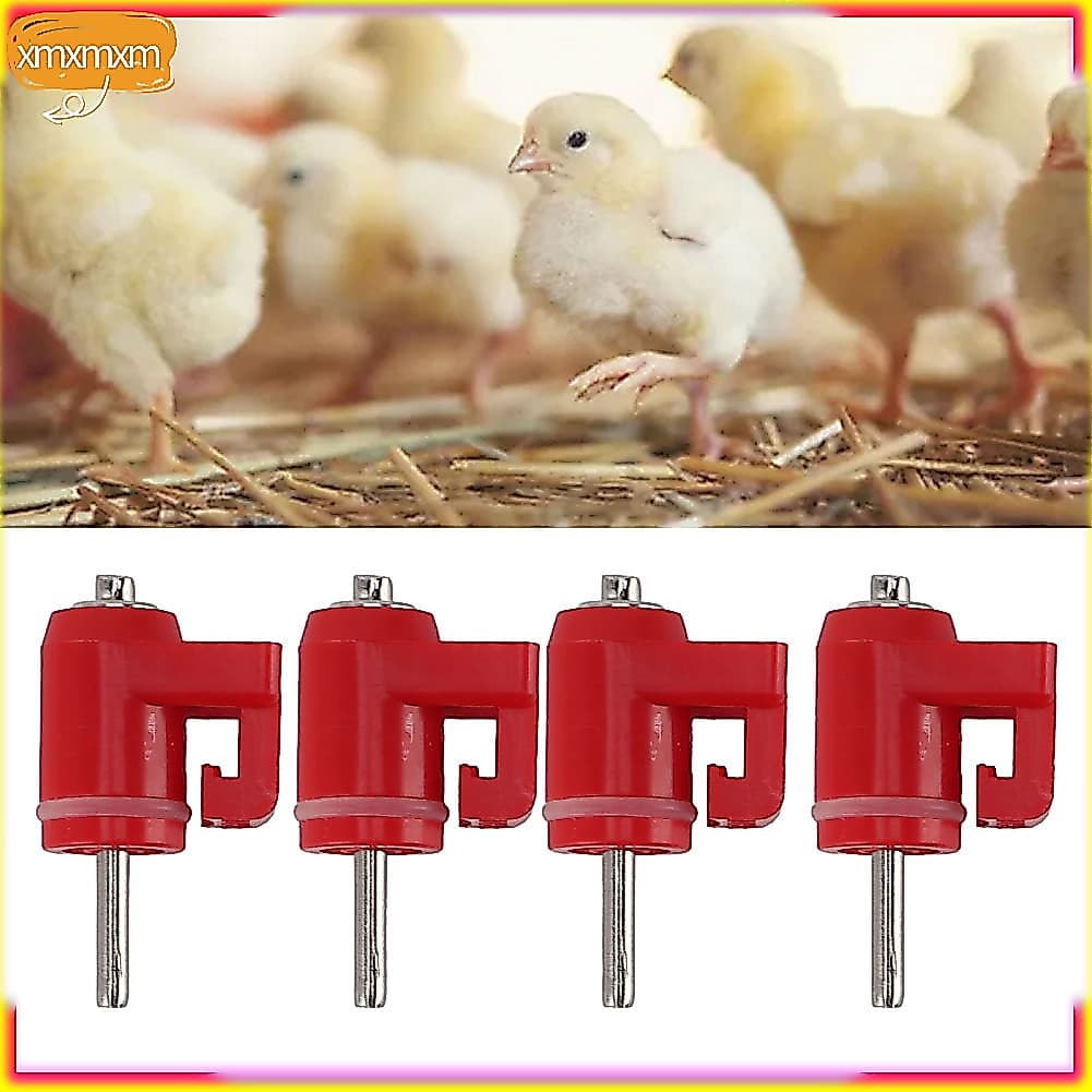 Xmxmxm.br 30 unidades de bebedouro para mamilo de frango - bebedor automático de água para aves com design de bola de