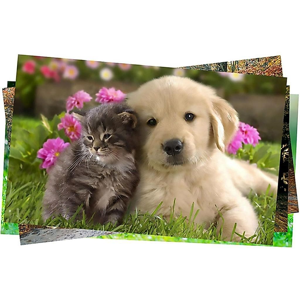 Papel Adesivo Glossy 115g A4 Fotográfico Branco Brilhante com 100 folhas